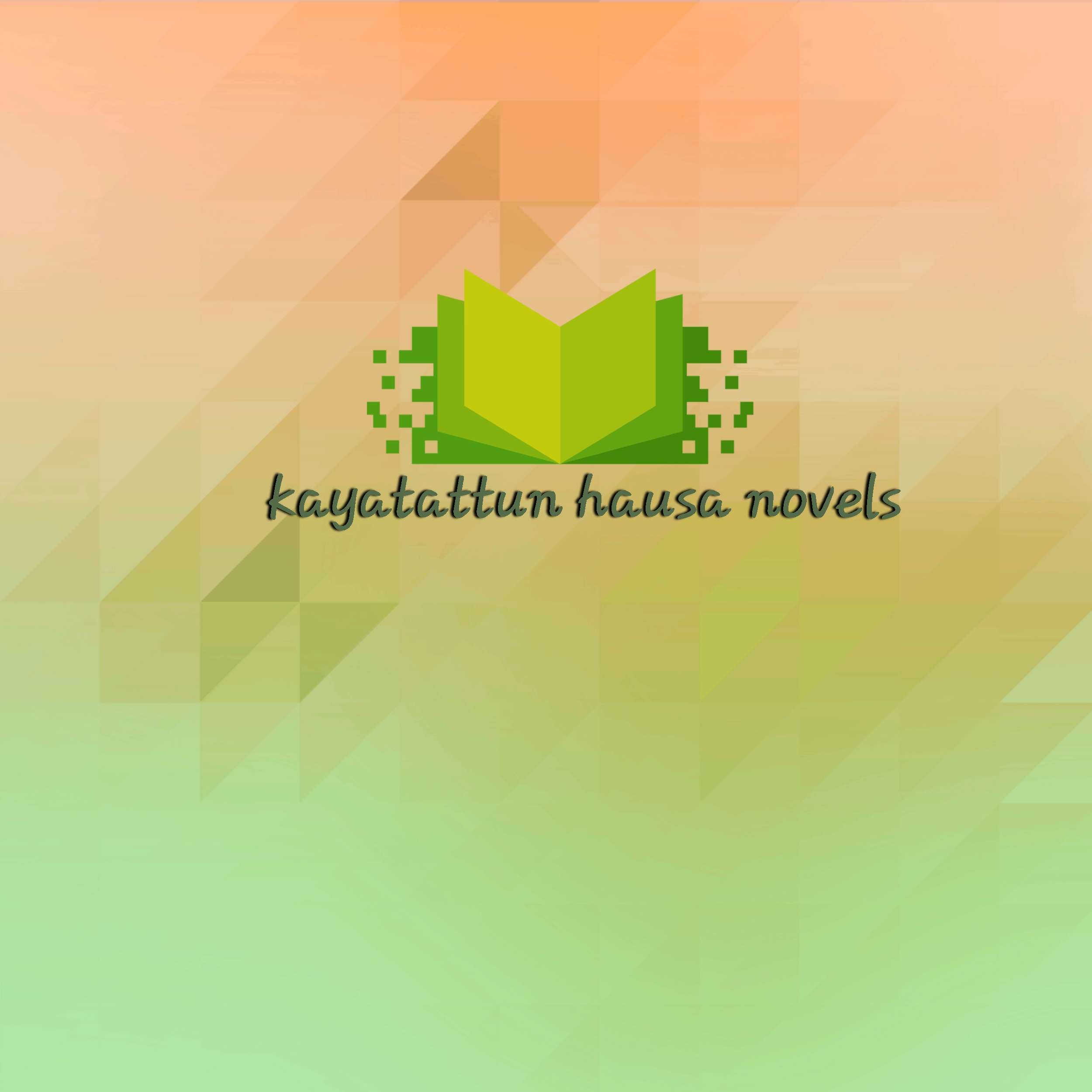 Kayatattun Hausa Novels in Kano